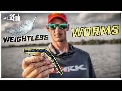 6 Weightless Worm