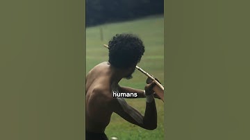 The Ancient Tool That Made Humans Super Hunters!