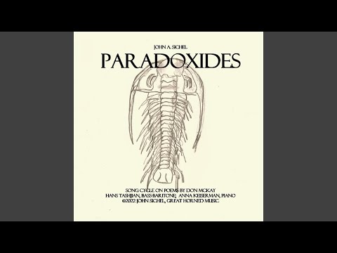 Song For The Song Of The Common Loon 