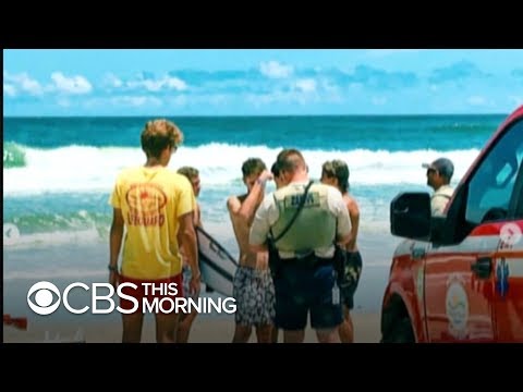 third-shark-attack-in-florida-in-three-days