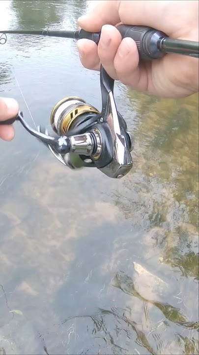 Лучшая снасть для ультралайта! Спиннинг daiwa prorex ultralight и ...