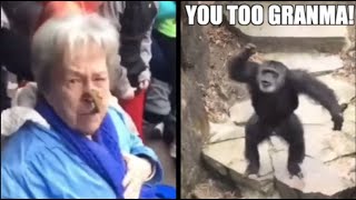Monkey Flings Poo at Grandma