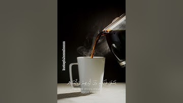 يوم ترى المؤمنين والمؤمنات | ايات قرانية قصيرة| حالات واتس | القارئ سلمان العتيبي🤍🌿