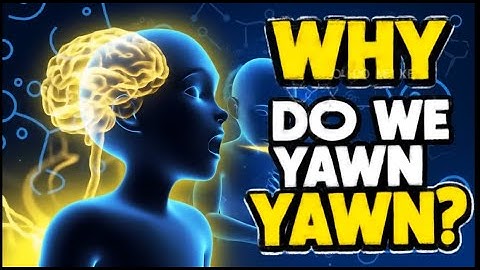 "Why We Yawn (And Why It’s So Contagious) | The Surprising Science Behind Yawning Explained"