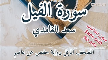 سورة الفيل الشيخ سعد الغامدي | Sheikh Saad El Ghamidi - Surah Al-Fil