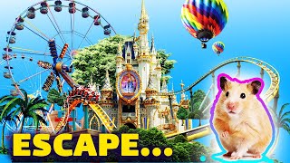 🐹hamster escape Amusement Park maze #hamster#हम्सटर#Хомяк#maze#escape#भूलभुलैया#lunapark#funnyanimal