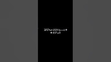 ويوم نحشرهم جميعا ثم نقول للذين أشركوا / القارئ هيثم الدخين