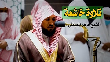 (وقالوا الحمدلله الذي أذهب عنا الحزن) تلاوة خاشعة من سورة فاطر للشيخ ماهر المعيقلي