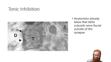 Epilepsy Journal Club