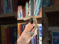 Why do reptiles change color? #virl