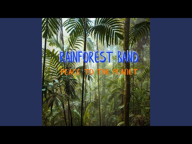 Rainforest Band - Caribbean Sunset