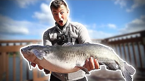 PERSONAL BEST CATFISH (Catch And Cook!)