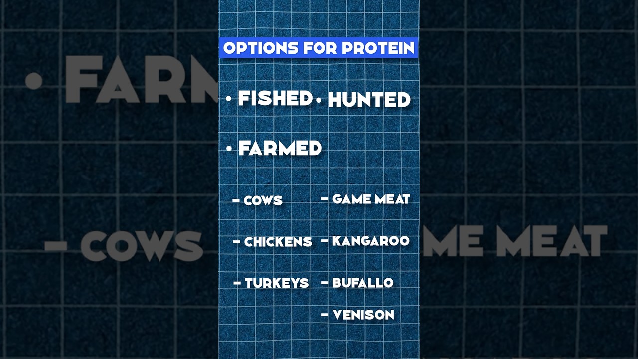 The Best Sources Of Protein (Weight Loss)
