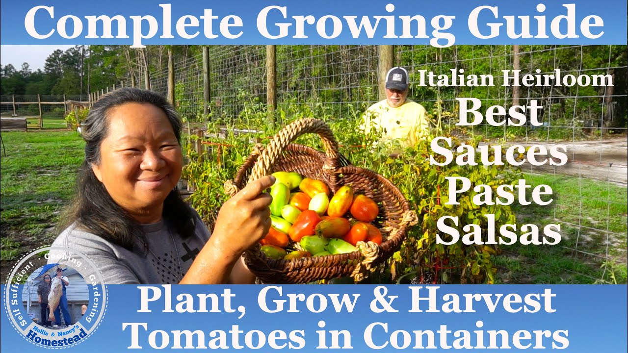 How to Plant, Grow & Harvest Tomatoes in Containers | Best in Tomato Sauces, Paste & Salsas