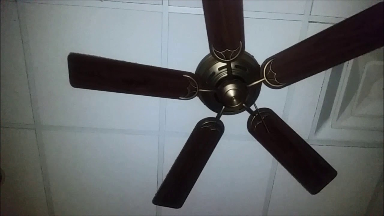 Hunter Low Profile Ceiling Fans In An Italian Restaurant Youtube