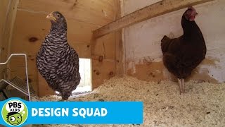 DESIGN SQUAD | Chicken Feeder Challenge | PBS KIDS