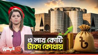 ৩ লাখ কোটি টাকার উন্নয়ন বাজেট নাকি দুর্নীতির মহোৎসব? | The Wave24