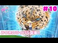 期間限定公開中 ひみつのアイプリ 第10話 みつきのライバル登場 期間限定公開中 ひみつのアイプリ 第10話 みつきのライバル登場