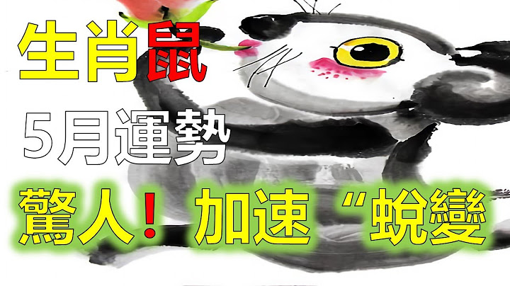 生肖鼠：5月初运势加速“蜕变”，财运如日中天，令人羡慕，2023年属鼠财运,事业,感情婚姻,健康运势及每月运程详解大全2023年12生肖运势，预测十二生肖财运运势：属鼠的人明日惊喜多多，财路通畅 - 天天要闻