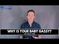 Why Is Your Baby Gassy? - Gas Relief for Babies from Pediatrician Dr. Steve Silvestro