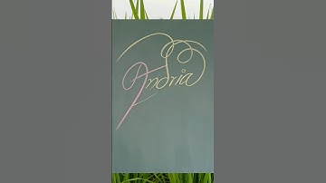 comments your name#drona calligraphy #shorts#signature#style#request#