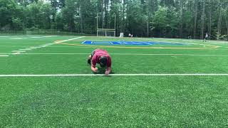 Low Plank with Contralateral Lift Off