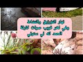 روتين الحراير في الريف ماخرجتي ماحوستي ادخلي الفيديو ليك جرعة نشاط روتين الحراير في الريف ماخرجتي ماحوستي ادخلي الفيديو ليك جرعة نشاط