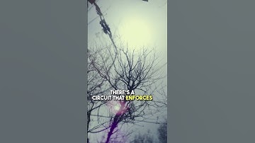 Why does AI hallucinate #chatgpt #artificialintelligence #technology #openai #scifi