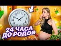 МОИ 24 ЧАСА ДО РОДОВ… / Аня Ищук и Димасблог image