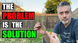 The Problem Is The Solution - How to turn a negative into a positive
