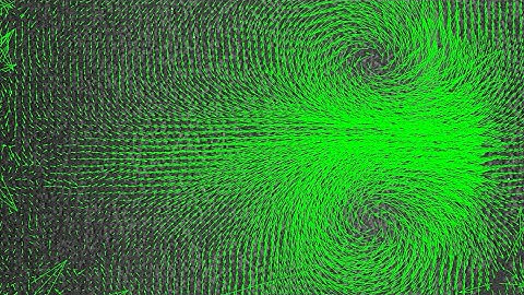 PIV Vector Field Analysis of a 2D Vortex Dipole in a Density Stratified Fluid