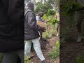 Restoring Nature Through Community Action
