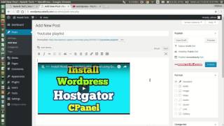 Embed Youtube  video Playlist in Wordpress Website