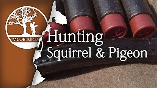 Hunting: Grey Squirrel & Woodpigeon