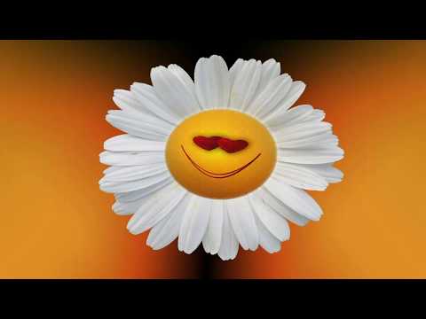 .Можно ли пользоваться телефоном в самолете?