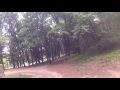 лесные тропы с телецентра до valea morilor (быв. "камсика ") ч.5