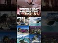 GTA6 Vice City #gta #gaming #gta6 #gta6trailer #gta6leaks #gtavi #gamer #gta6graphics #gta6new #ps5