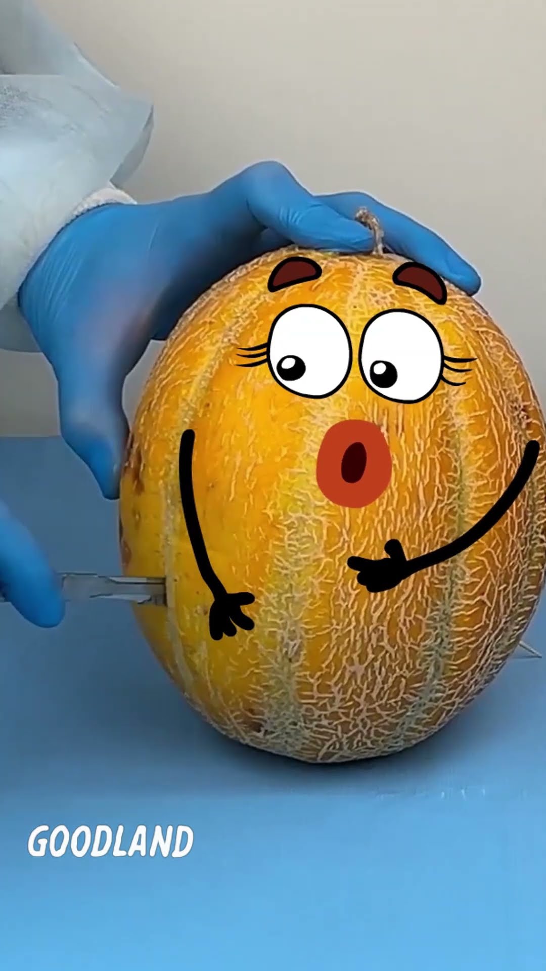 Goodland Expert Reveals CRAZY Melon Surgery!