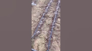 best drip tape irrigation system drip tape manufacturers #shorts #amazing #field #automation #water