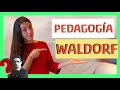 Pedagogía WALDORF 🌈  | DESCUBRE 5️⃣ cosas que [NO SABES] de su creador | RUDOLF STEINER