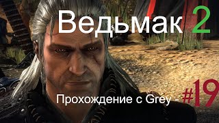 Ведьмак 2  Прохождение с Grey   # 19