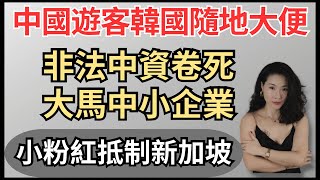 Download Lagu 中共抵制日本新加坡｜韓國馬來西亞淪陷｜無照中資卷死大馬中小企業｜中國遊客隨地大小便｜小粉紅｜新加坡｜黃循財｜reaction video  MP3