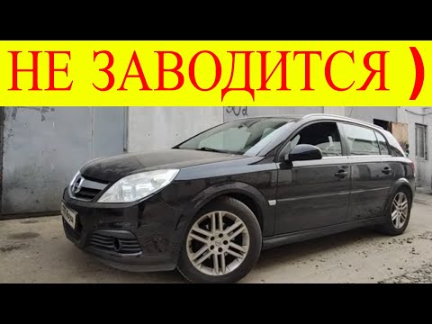 Opel Signum Z19DTH не заводится двигатель