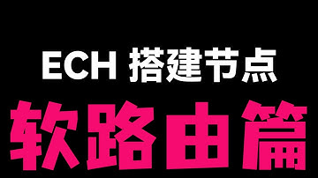 【软路由教程】Cloudflare ECH 终于支持 OpenWrt！配合 Passwall 实现透明代理，全屋设备自动优选加速。