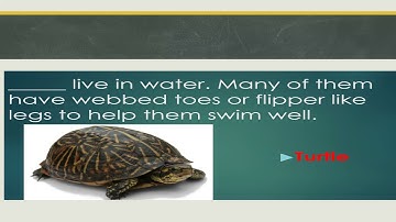 Class 5, General Knowledge, Chapter 6 to 8, Revision by Anju Chopra