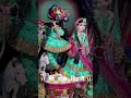 new ringtone 🦚❤️ #music #song #radhekrishnakridhe #youtushorts #bhaktishort