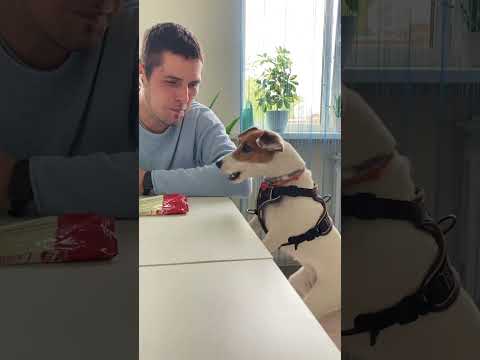 Заводить или не