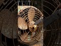 Most Satisfying Metal Restoration ASMR Ever | Satisfying Rust Removal on Old Metal Fan 😱