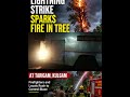 Lightning Strike Sparks Fire in Tree at Tarigam, Kulgam;