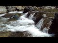 Meditasi Relaksasi Otak Lewat Suara Air Sungai Mengalir &amp; Air Terjun Mini Serta Terapi Air Lovebird